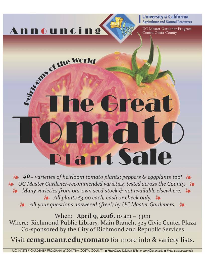 Master Gardener Great Tomato Sale April 9th
