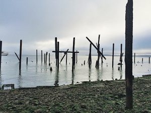 http://bayareamonitor.org/wp-content/uploads/2017/03/Point-Richmond-creosote-pilings-300x225.jpg