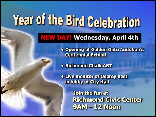 0404-Year of The Bird - New Day 3