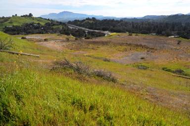 A proposed housing development site along Deer Hill Road is photographed on Wednesday, March 7, 2018 in Lafayette, Calif. (Aric Crabb/Bay Area News Group)