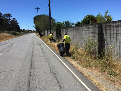 Giant Road_Litter Collection