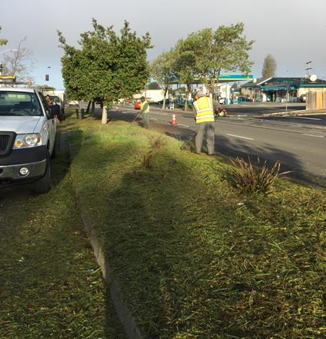 Cutting Ave weed abatement