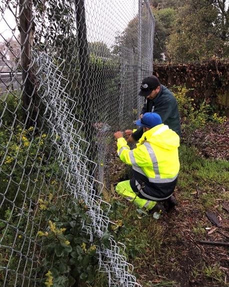 Fence Repair Nicholl Park