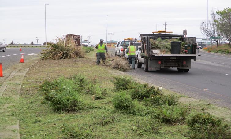 Parkway maintenance