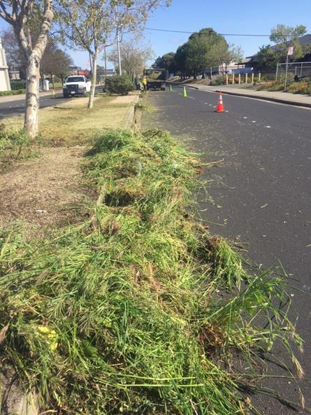 Weed abatement Marina Way Median