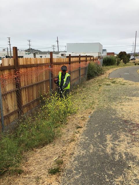 Weed abatement Greenway