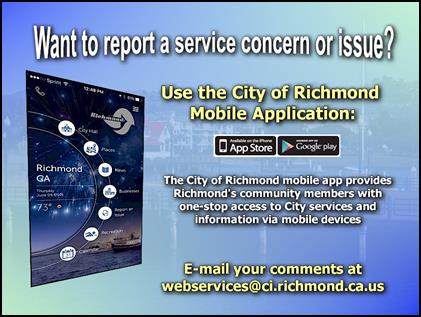 COR Connect Service Concern and Issues 4