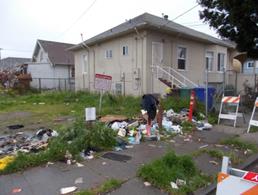 Lot Clean-up (1)