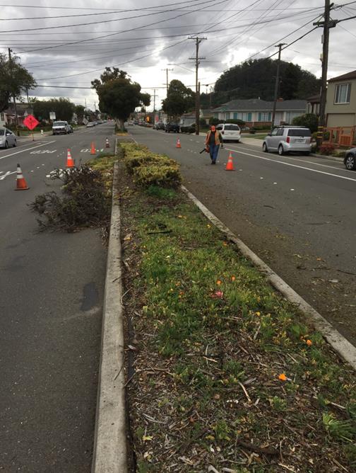 Carlson Median 2