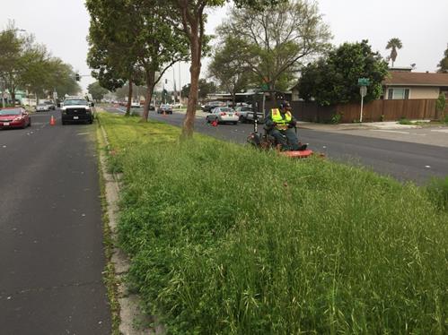 Cutting Median_Mowing