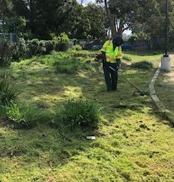 Weed abatement Monterey playlot