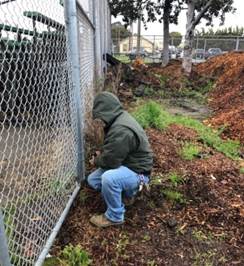 Fence Repair Nicholl Park